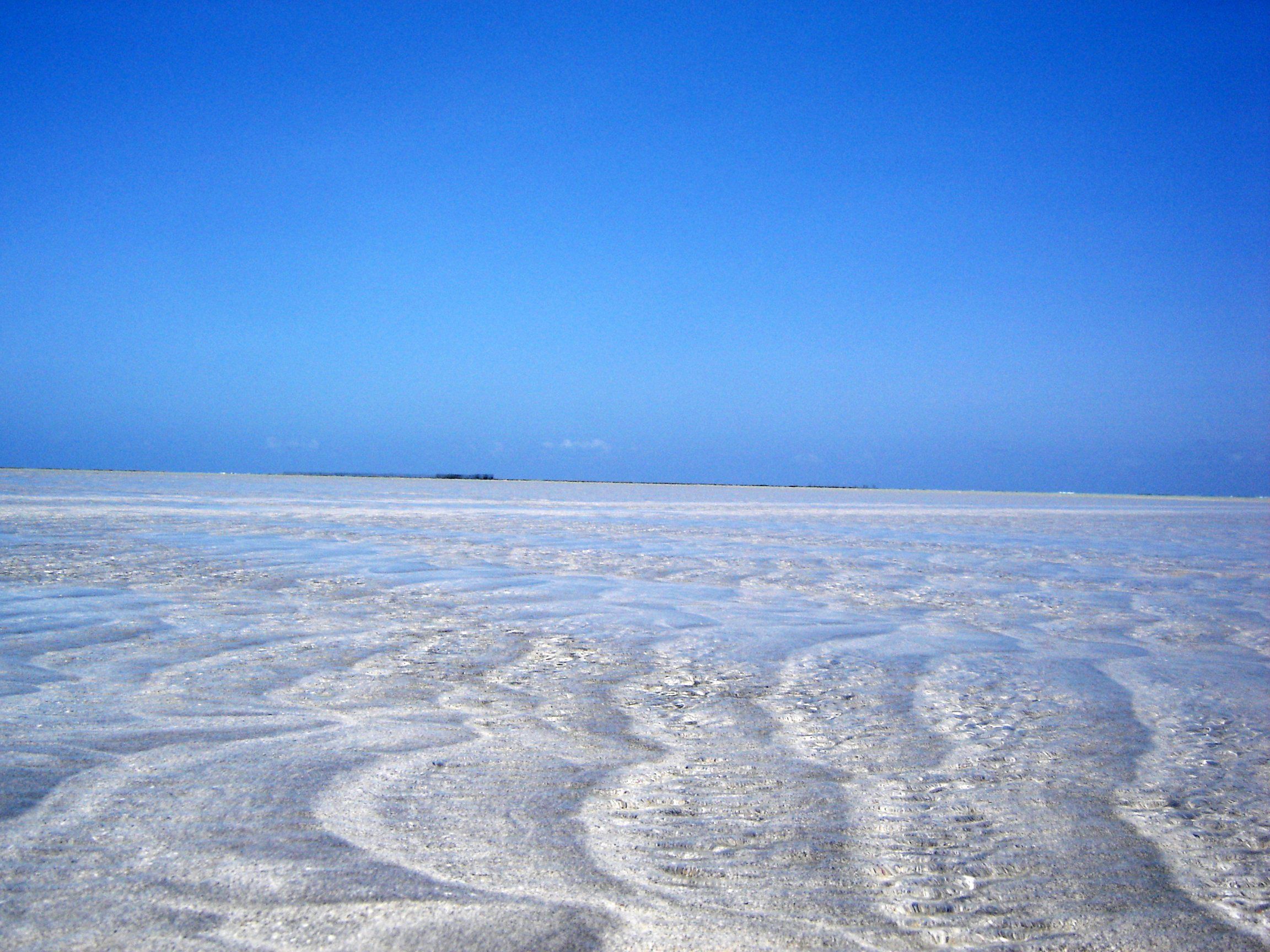 Areia ondulada e água muito rasa na maré baixa em Maragogi