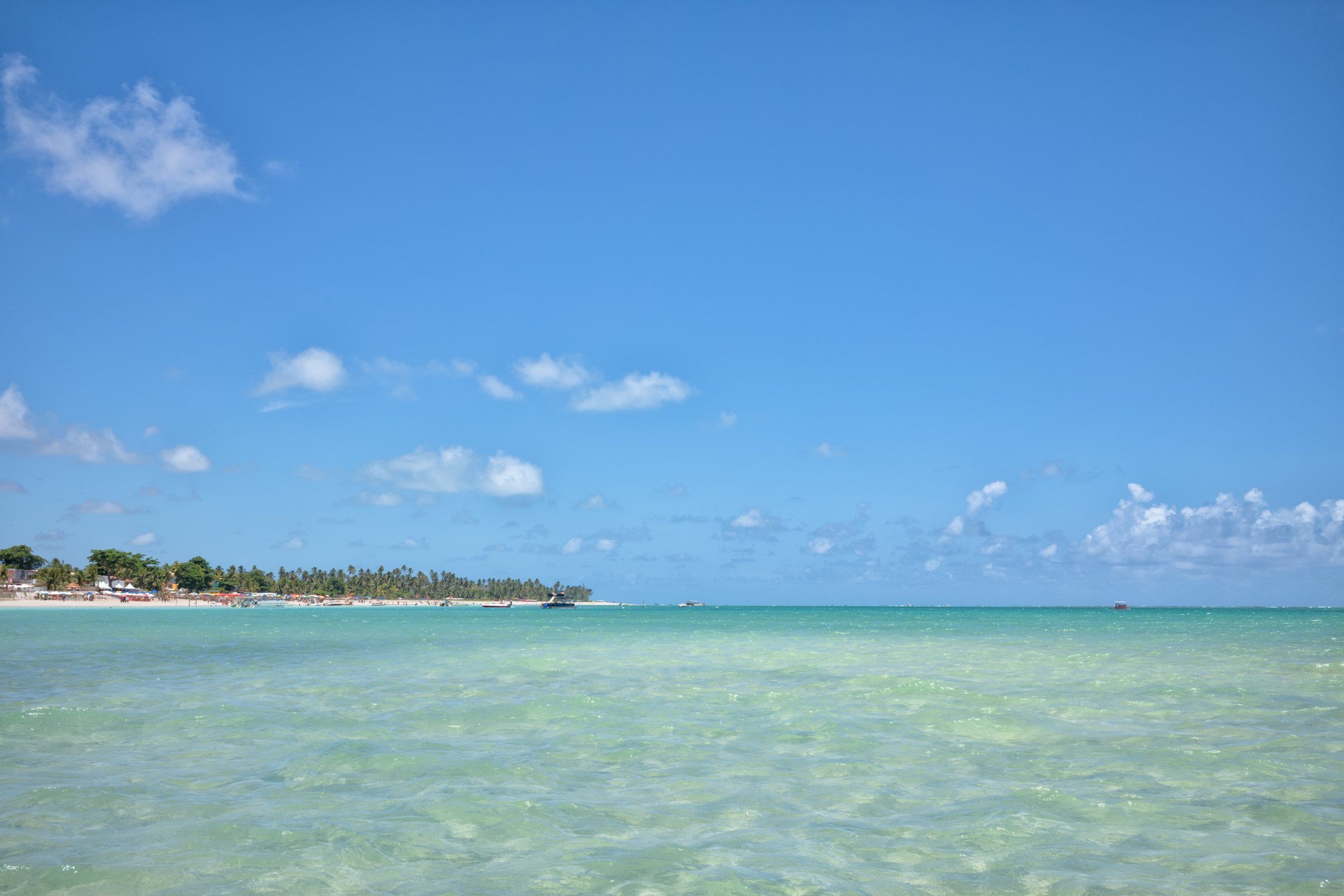 Água rasa verde-turquesa sobre a areia na Praia de Barra Grande, em Maragogi